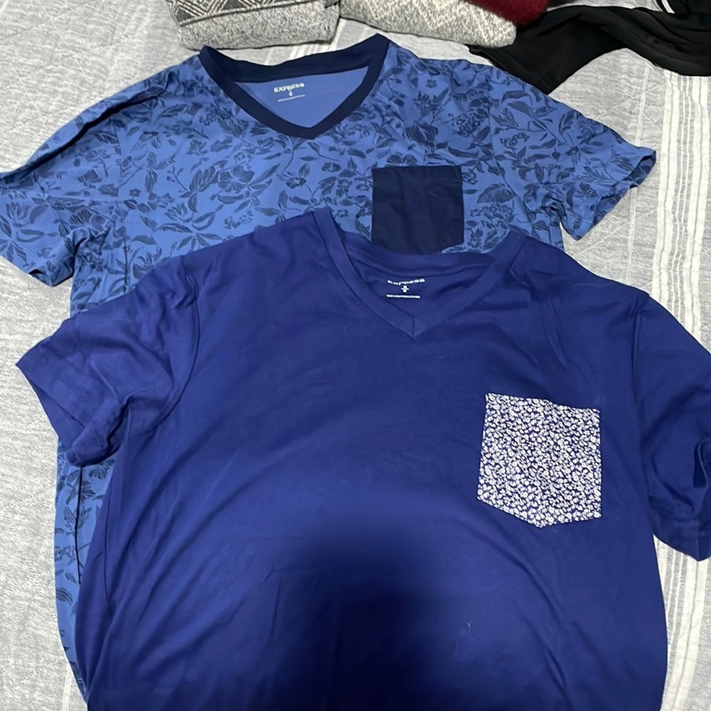 Express Mens V Neck Tees Bundle